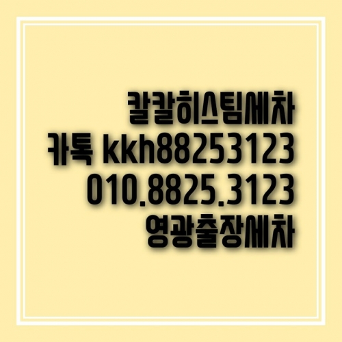 칼칼히출장스팀세차