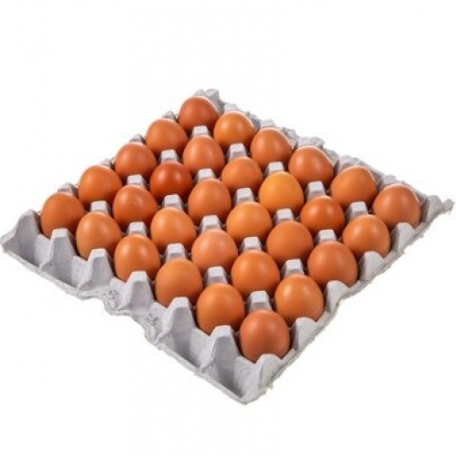[영광존 어플회원 특가] 계란 30구 한판 1,000원
